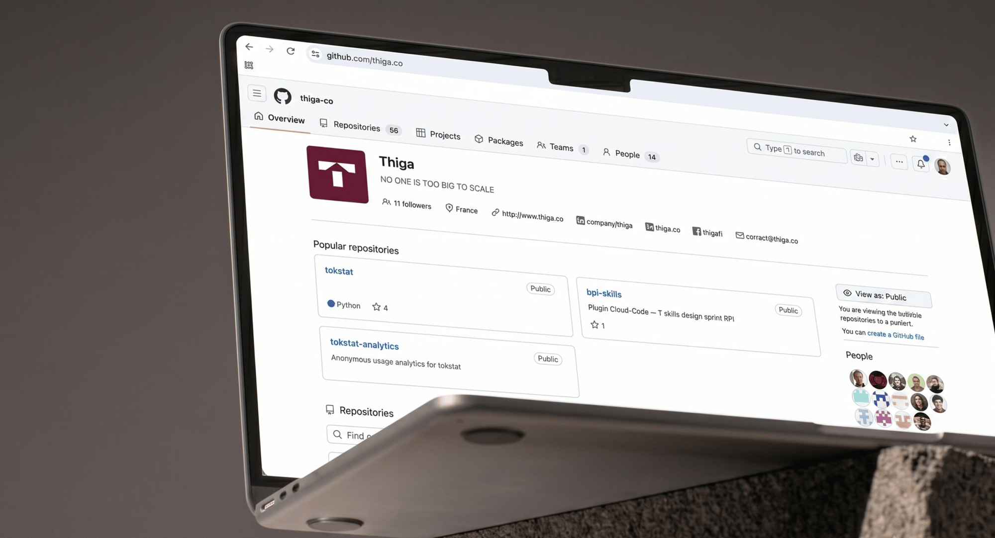 Minia github Thiga
