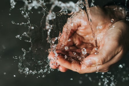 ©Photo de Nathan Dumlao sur Unsplash